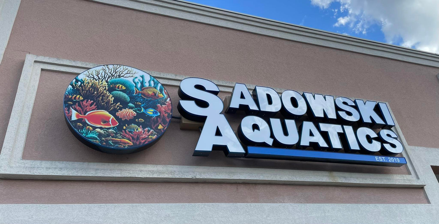 Shop all freshwater