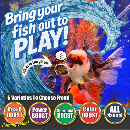 Super Cichlids Freeze-Dried Blackworms with Color Boost (All Natural, High Protein Fish Food)