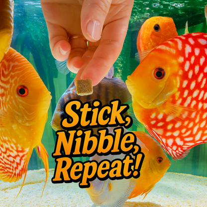 Super Cichlids Freeze-Dried Blackworms with Spirulina (All Natural, High Protein Fish Food)