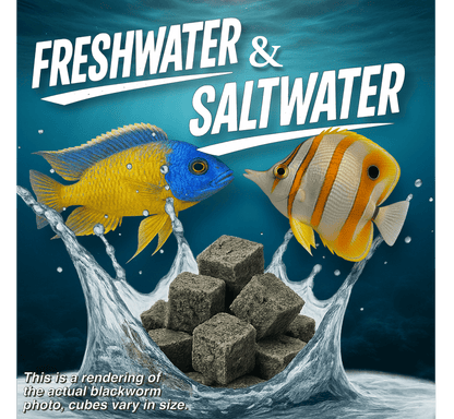 Super Cichlids Freeze-Dried Blackworms with Spirulina (All Natural, High Protein Fish Food)